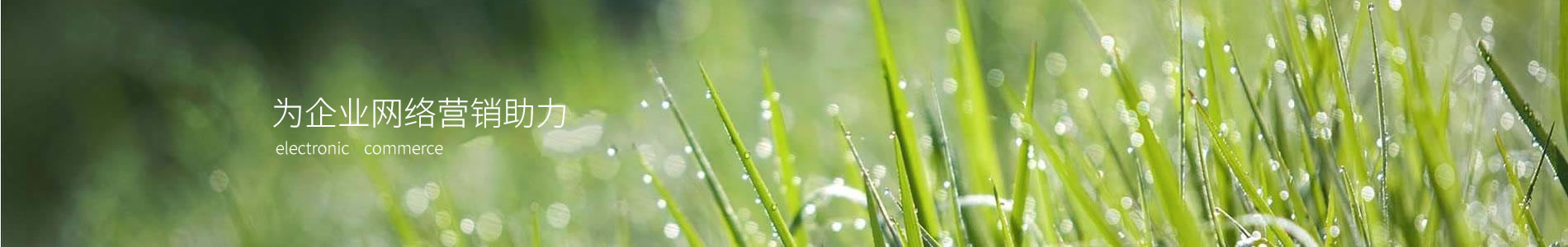 һƼ޹˾
